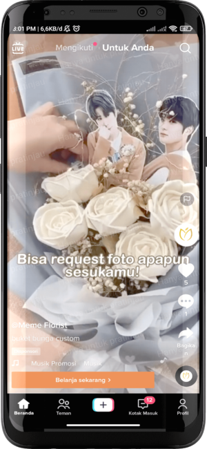 Jasa Iklan TikTok Ads Dengan Biaya / Harga Terjangkau - Herco Digital